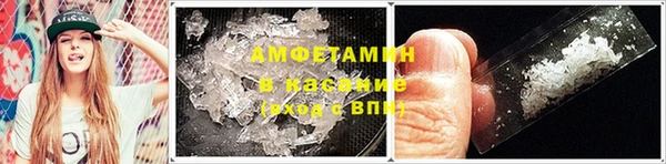 стаф Верея