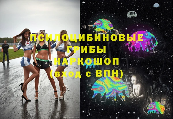 стаф Верея
