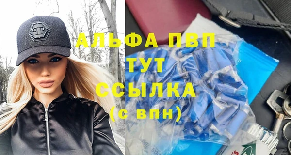 стаф Верея