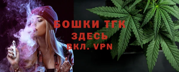 стаф Верея