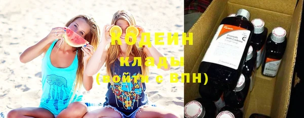 стаф Верея
