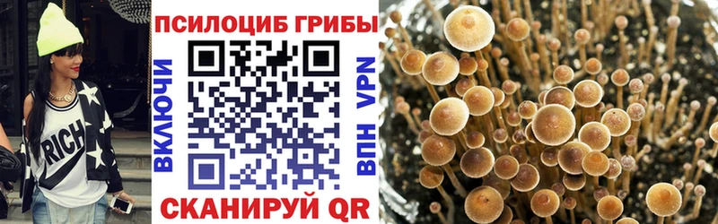 Псилоцибиновые грибы мицелий  omg онион  Хасавюрт 